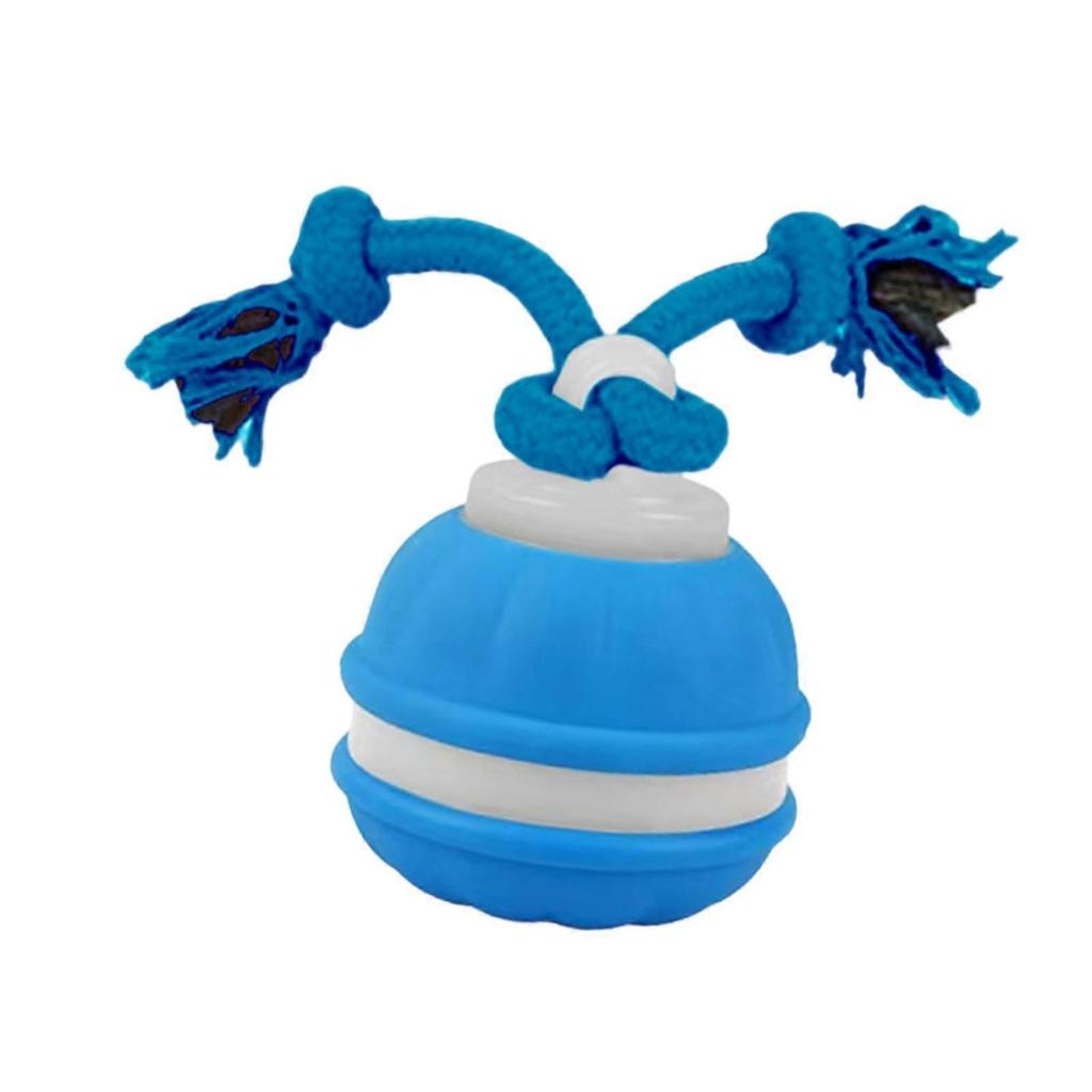 Dog Training Ball with Rope Pet Ball Motion Activated Cat Dog Interactive Toy Less
