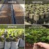 100PCS Biodegradable Planting Bags, Non-woven Seedling Bags, Fruit Seedling Bags