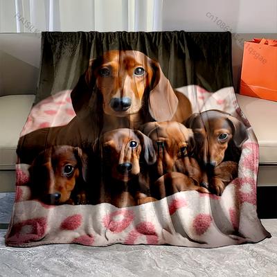 Dachshunds and Dachshund Babies Blanket Warm Soft Fluffy Kids and Adult Sofa Bed Throw Blanket Suitable Home Travel Camping