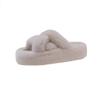 Thick bottom Internet celebrity fluffy slippers women wear 2025 autumn new super hot explosion comfortable fluffy foreign gas cotton drag