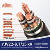 Shengyu ZRC-YJV22 Flame Retardant 8.7/15kV Oxygen-Free Copper Steel Tape Armored Power Cable
