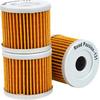 Road Passion Oil Filter for HYOSUNG GV250 2001-2011 GV 250 AQUILA 2012-2014(pack of 3)