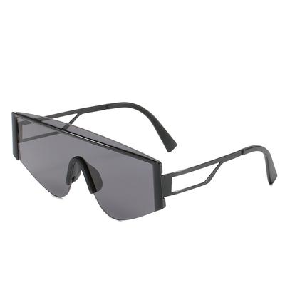 Ocean Square Integrated Sunglasses, Metal Large Frame Sunglasses, Sunglasses For Women