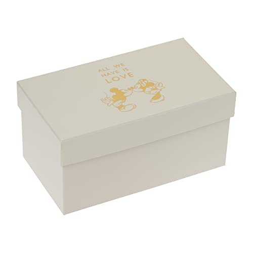 Maebata Disney Mickey & Minnie Heat-Resistant Pair Mug Set D-MF62 52159