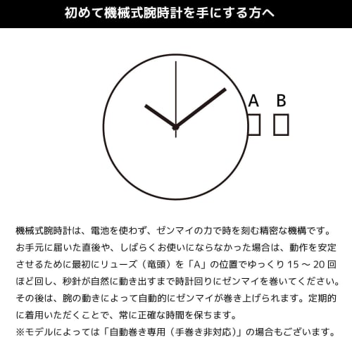 Authorized D1 MILANO Watch SKBJ10 Skeleton Restyling Automatic Stainless Steel Silver Automatic