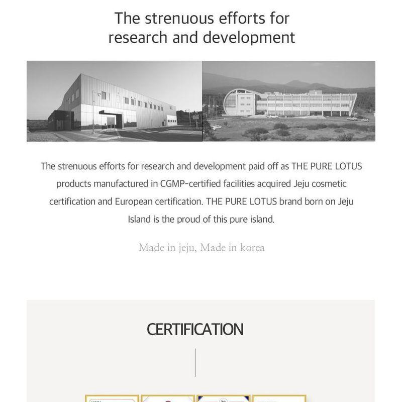 THE PURE LOTUS Rose Quartz Guasha