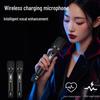 HiVi Portable Outdoor Bluetooth PA Speaker with Dual Wireless Microphones CN Plug (adapter Included)