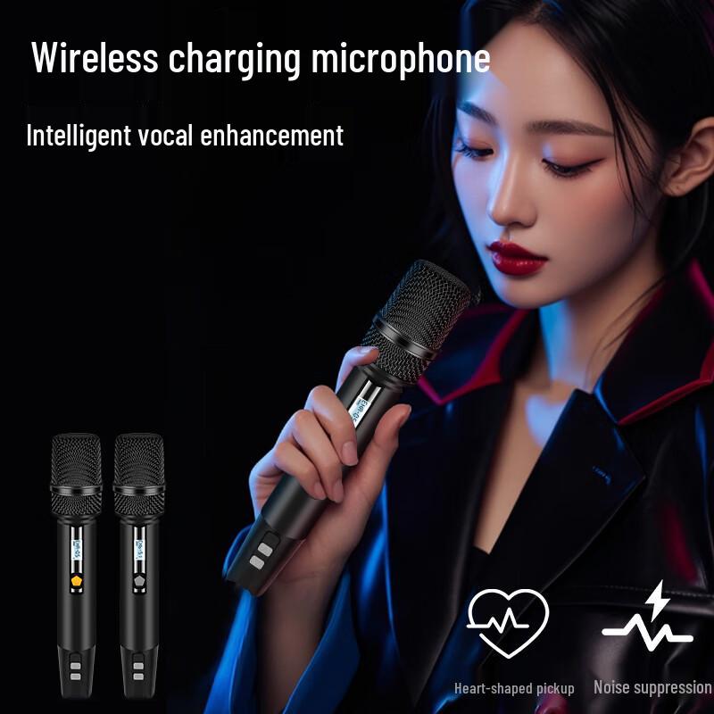 HiVi Portable Outdoor Bluetooth PA Speaker with Dual Wireless Microphones CN Plug (adapter Included)