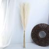 55cm Artificial Reed Pampas Grass Fake Flower Decorative Arrangement for Living Room Wedding Floor Decoration Artificial Plant