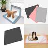 Foldable Pet Pee Pad Multiuse Waterproof Dog Training Mat for Indoor Outdoor Top Sale