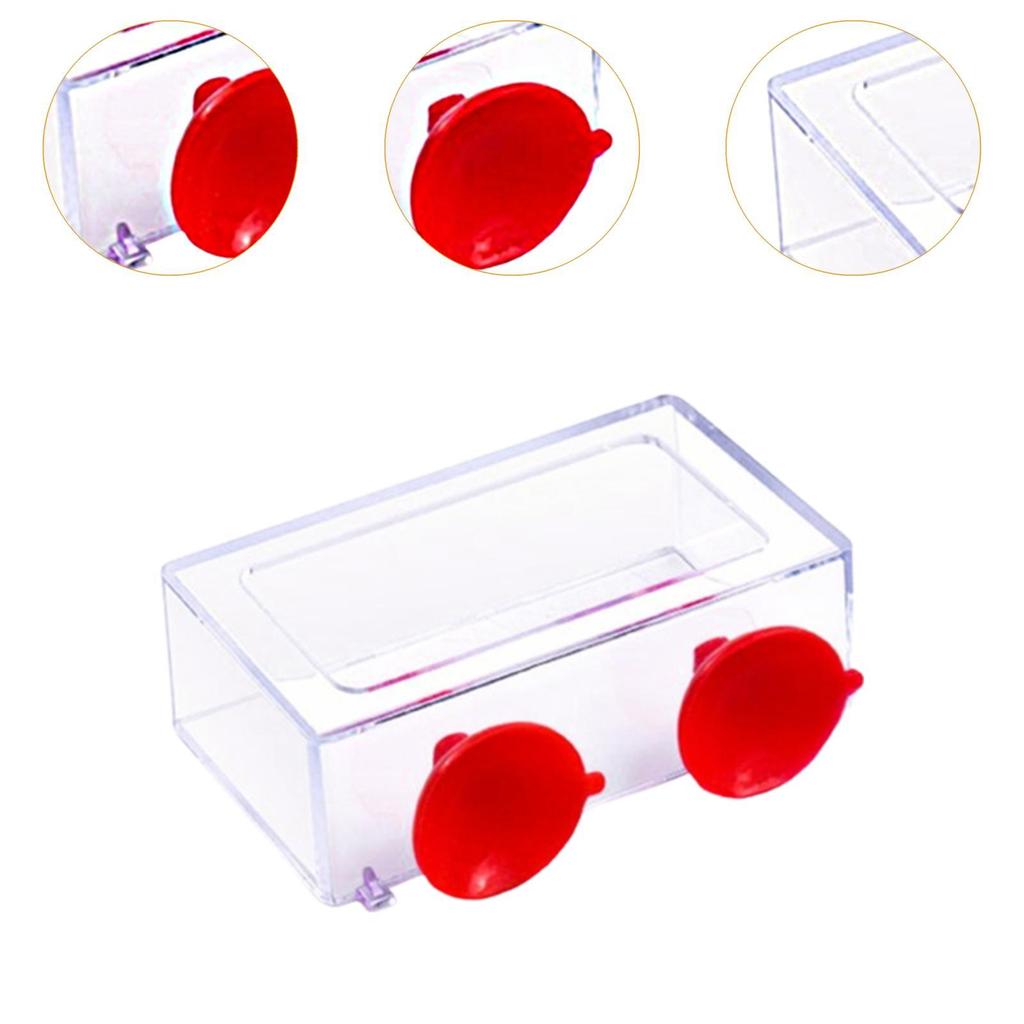 Fischfütterungsring Schwimmer Futterspender Geschenke mit Saugnapf Schildkröte Transparent Robust Mehrzweck Aquariumzubehör