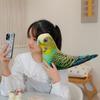 Simulation 3D Bird Plush Toy Stuffed Goose Chicken Rooster Hen Duck Pigeon Dove Parrot Pheasant Mandarin Duck Pillow Cushion