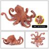 Oenux Marine Molluscs Model Simulation Squid Octopus Growth Cycle Action Figure Sealife Animals Education Collection Kids Toy