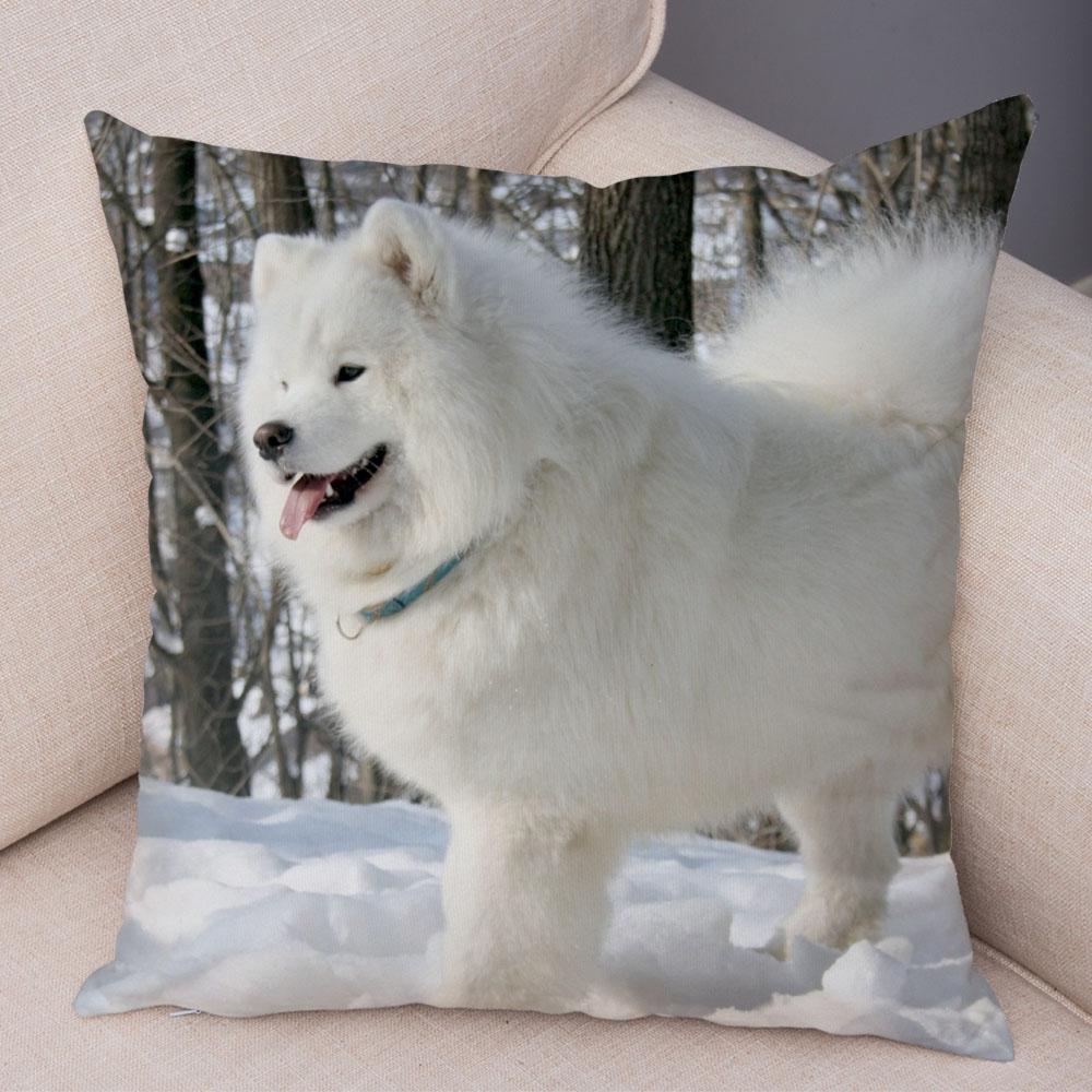 50 Stil Husă de Pernă Câine Alb Drăguț Samoyed Decor Husă de Pernă Animal de Companie Iubitor Husă de Pernă Moale de Pluș pentru Canapé Cameră Copii