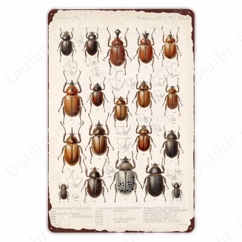 VintageWildFlowersMetalSign Vintage Metal Tin Sign - Wild Flowers Plant Herbarium Art Plaque, Kitchen/Home Wall Decor