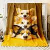 Cute Animal Theme Cats Dogs Lover Flannel Blanket Gifts Soft Warm Thin Blankets for Sofa Bed Car Camping All Season Customizable