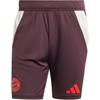 Tiro 24 Patchwork Side Stripe Pattern Outdoor Sports Mid Waist Casual Shorts Men Shorts Dark-Chestnut-Red IS9949