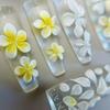 2Pcs Relief Flowers Nail Carving Mold 3D Clear Silicone Mold Flowers Petals Making For Nail Art Accessories Tools