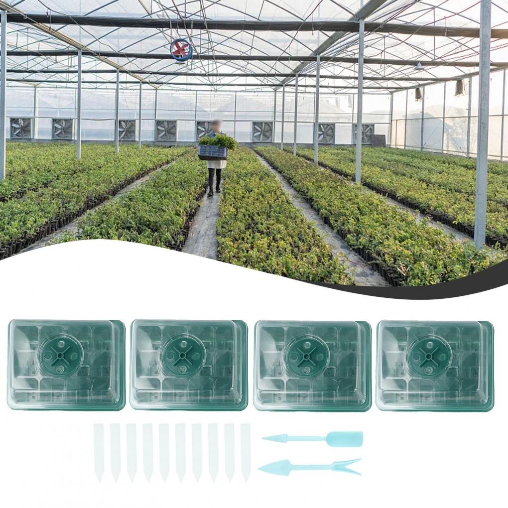 Propagation Nursery Pots Tomatoes Compartments Courtyard Farm