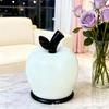 Toothpick Holder, Cute Cotton Swab Box, High-value Toothpick Box, Household Dental Floss, Toothpick Storage Box.