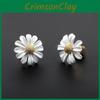 Silver Daisy Botanical Earrings With Handcrafted Finish For Fashionforward Women