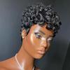 hort Pixie Wigs for Black Women Short Black Curly Pixie Wigs Synthetic Hair Wigs for Black Women Natural Wavy Black