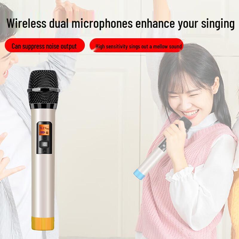 Soyang 8-Inch Wooden Portable Outdoor Karaoke Speaker