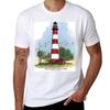 Assateague Lighthouse And Birds Tshirt Casual Trendy Short Sleeve Tshirt