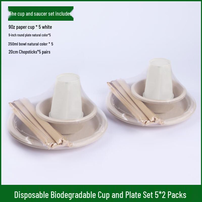 OEING 5-Person Biodegradable Disposable Tableware Set