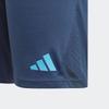 Adidas Striped Logo Print Soccer Shorts Argentina Tiro 23 Men Shorts Blue HF3936