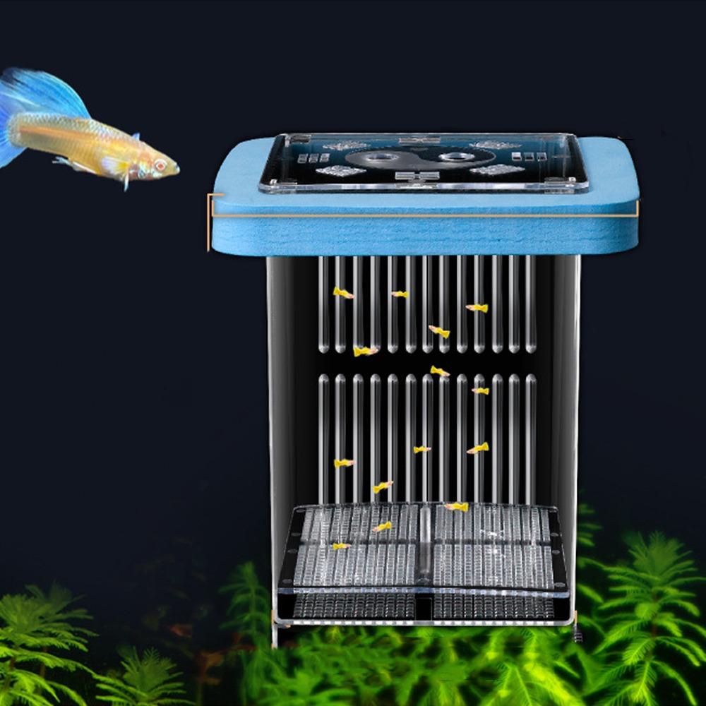 Detachable Guppy Breeder Box Transparent Fish Tank Divider Floating Hatching Box  Fish Breeding