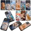 Kitten Cat Cover Phone Case for Samsung Galaxy A07 A13 A12 A14 A23 A42 A50 A51 A52 A53 A70 A71 A72 A21S A04 Note 20 9 8 10