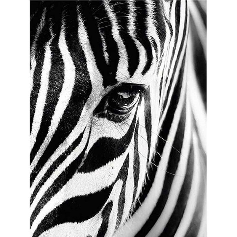 5D DIY Diamond Painting Zebra Animals Full Round Diamond Embroidery Sale Pictures of Rhinestones Cross Stitch Home Decor