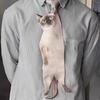 Men Tie Realistic 3D Cat Pattern Smooth Feel Neck Tie Funny Kitten Design Tie Weddings Parties Office Wear
