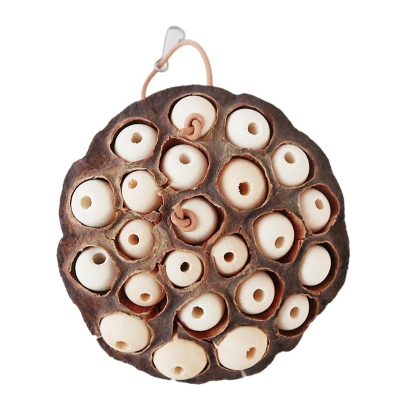 

Bird Tearing Toy Birdcage Lotos Seedpod Bead Toy Small Bird Grinding Chewing Toy All Size Bird Birdcage Climbing Toy