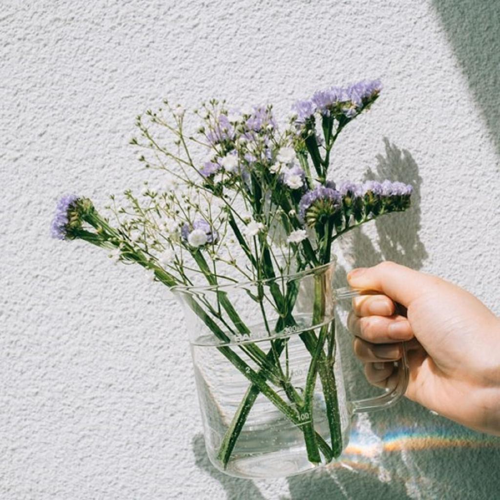 HARIO Beaker Server, Crafts Science, 300ml Capacity, Made In Japan, BV-300