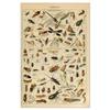 Vintage-Leinwandgemälde mit Gemüse, Früchten, Pilzen, antike Wandkunst, botanische Bilder, wissenschaftliche Poster und Drucke, Heimdekoration