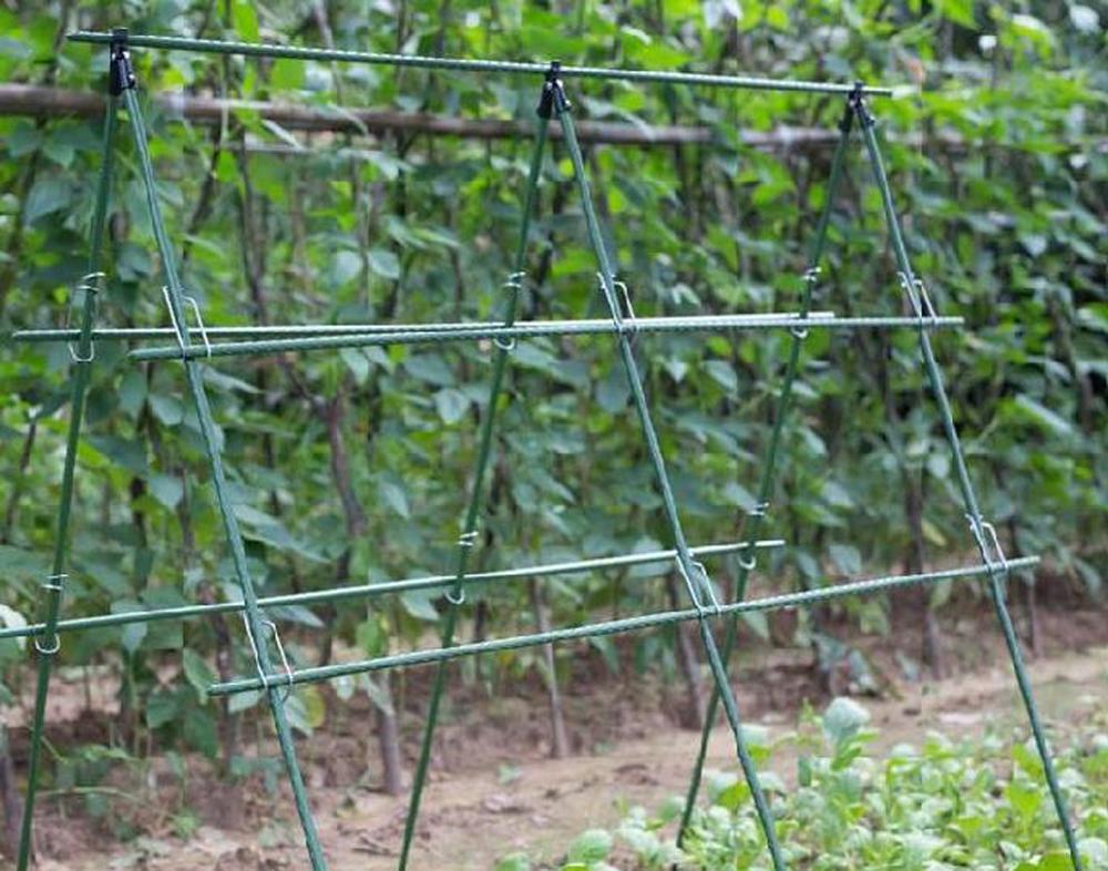 Diameter 8/11/16mm Plant Support Garden Trellis Flower Support Greenhouse Garden Plant Fence Climbing Vine Bracket 3 Pcs