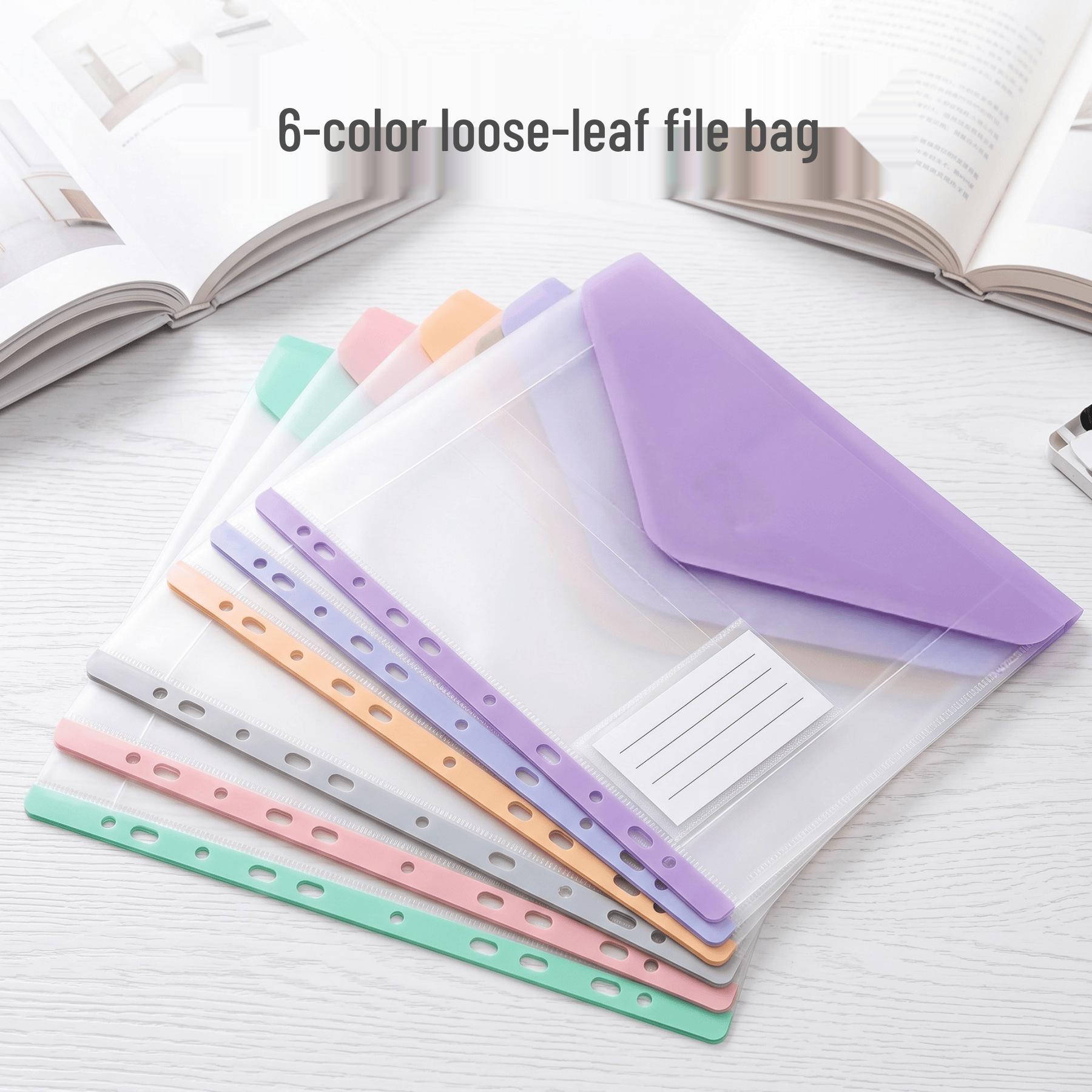 A4 Transparent 6-Color Loose-Leaf Binder & Organizer with Labels