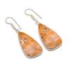 Natural Fossil Coral Gemstone 925 Sterling Silver Jewelry Earring 1.89" AE-12115