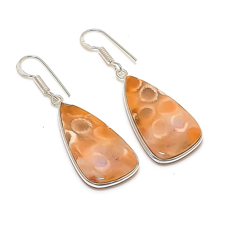 Natural Fossil Coral Gemstone 925 Sterling Silver Jewelry Earring 1.89  AE-12115