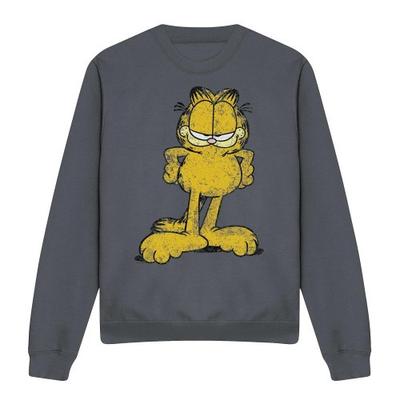 Garfield Unisex Vuxen Stor Gammal Katt Sweatshirt
