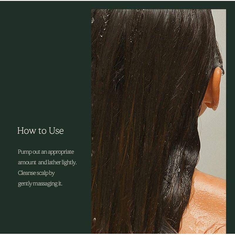 Nard Cooling Hair Loss Care Shampoo