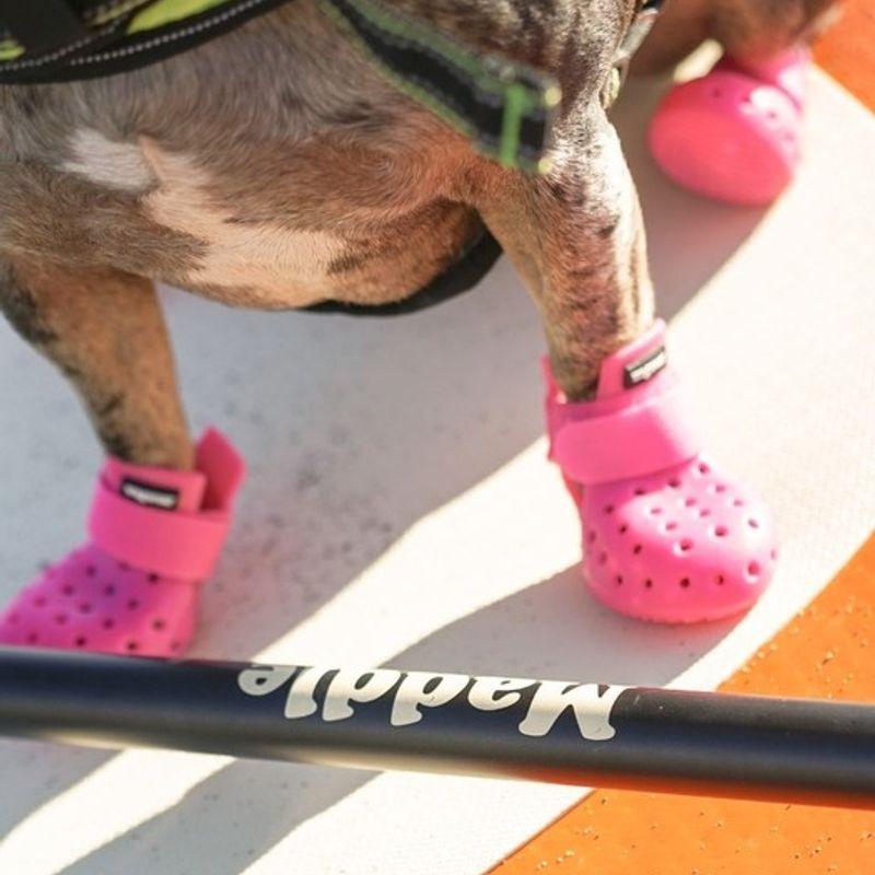 Wagwear Mojave Wagwellis