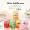 Fresh Breeze Solid Air Freshener: Long-Lasting Indoor Fragrance & Bathroom Deodorizer