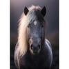 Handsome Horse Wild Animal Poster Horses Portrait Photography Canvas Painting Modern Wall Art  for Living Room Home Decor Mural