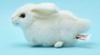 BH5823 HANSA Rabbit 16