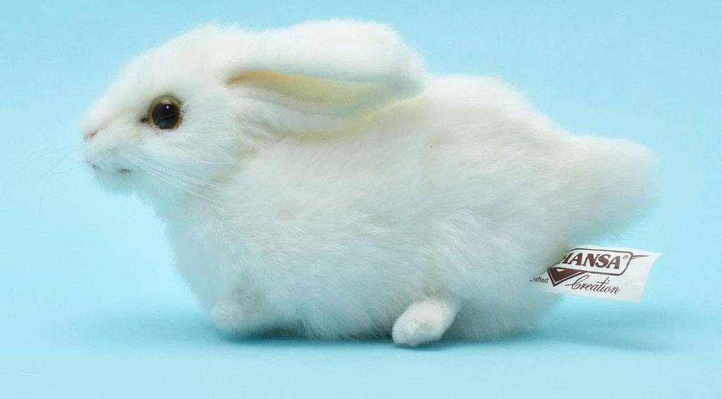 BH5823 HANSA Rabbit 16