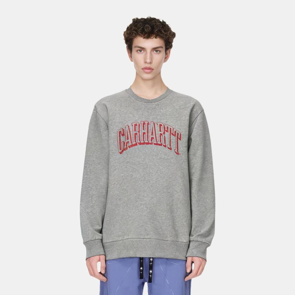 Carhartt WIP FW22 Graffiti Print Sweatshirt Men Sweatshirt Gray I030939-19X-XX