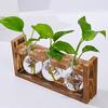 Plants Propagation Station with Wooden Stand Indoor Plant Terrarium Hydroponic Flower Holder Container Decoration Table Centerpiece